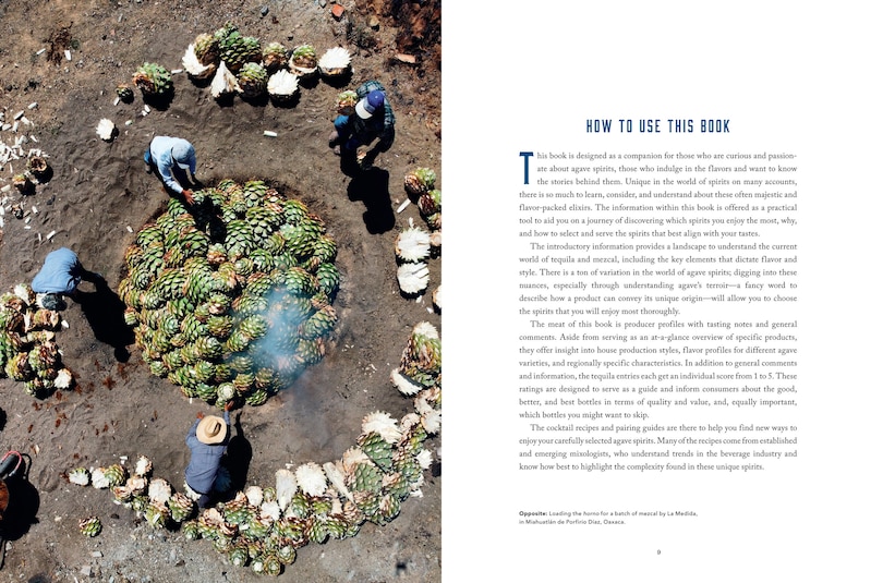 Sample content_The Essential Tequila & Mezcal Companion