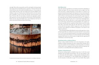 Sample content 2_The Essential Tequila & Mezcal Companion