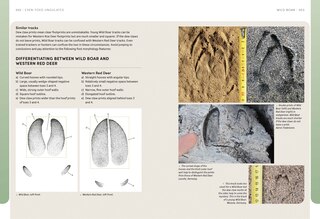 Aper&ccedil;u du contenu 2_The European Animal Tracks Handbook