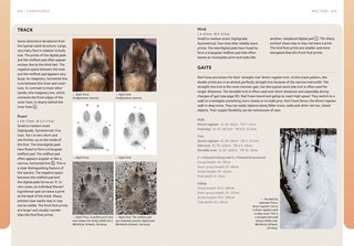 Aper&ccedil;u du contenu 5_The European Animal Tracks Handbook