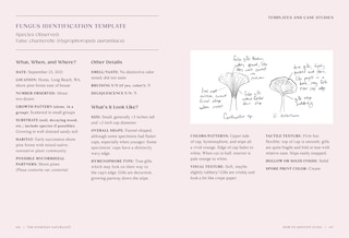 Sample content 2_The Everyday Naturalist