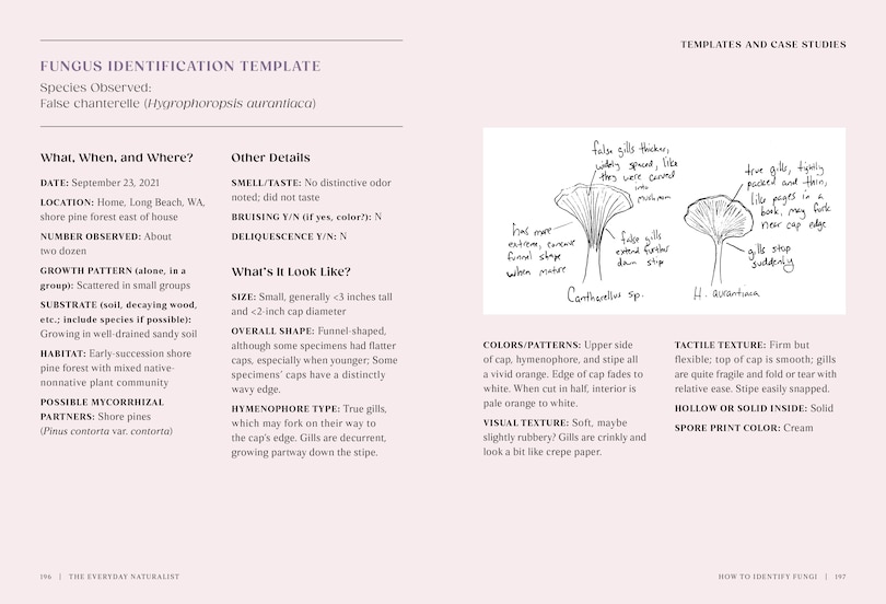 Sample content 2_The Everyday Naturalist