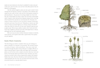 Sample content 3_The Everyday Naturalist