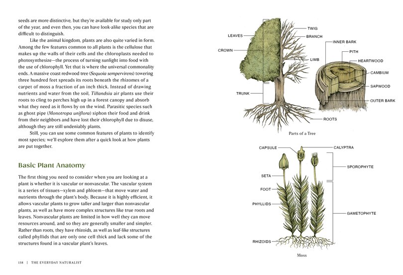 Sample content 3_The Everyday Naturalist