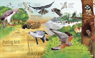 Sample content 2_The Extraordinary World Of Birds