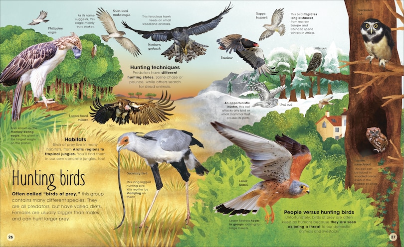 Sample content 2_The Extraordinary World Of Birds