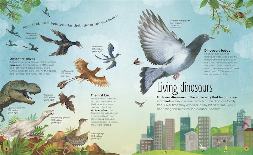 Sample content 3_The Extraordinary World Of Birds