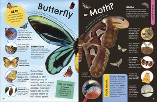Sample content 2_The Fact-Packed Activity Book Insects