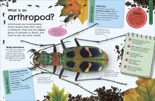 Sample content 3_The Fact-Packed Activity Book Insects