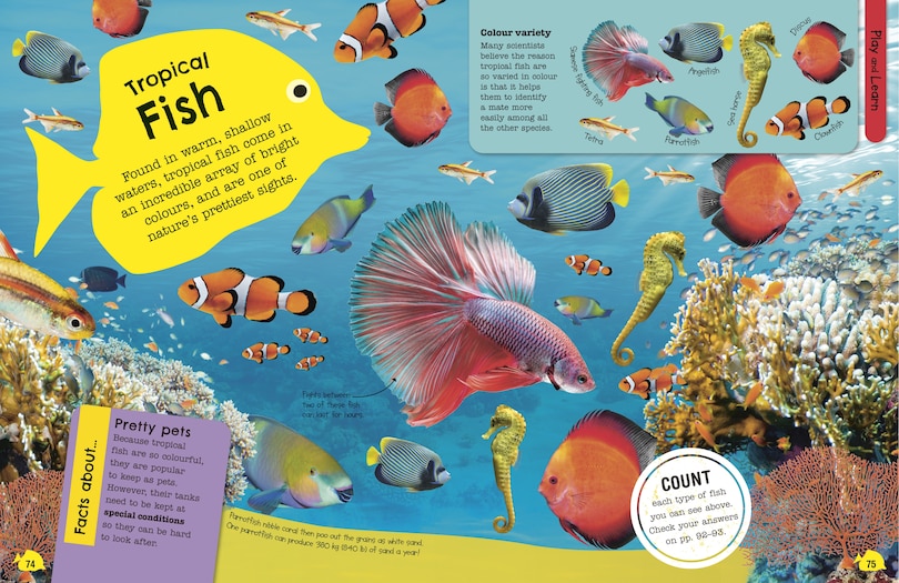 Aperçu du contenu 3_The Fact-Packed Activity Book Sharks and Other Sea Creatures