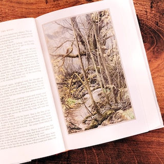 Sample content 4_The Fellowship of the Ring