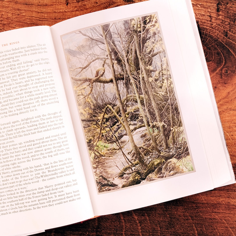 Sample content 4_The Fellowship of the Ring