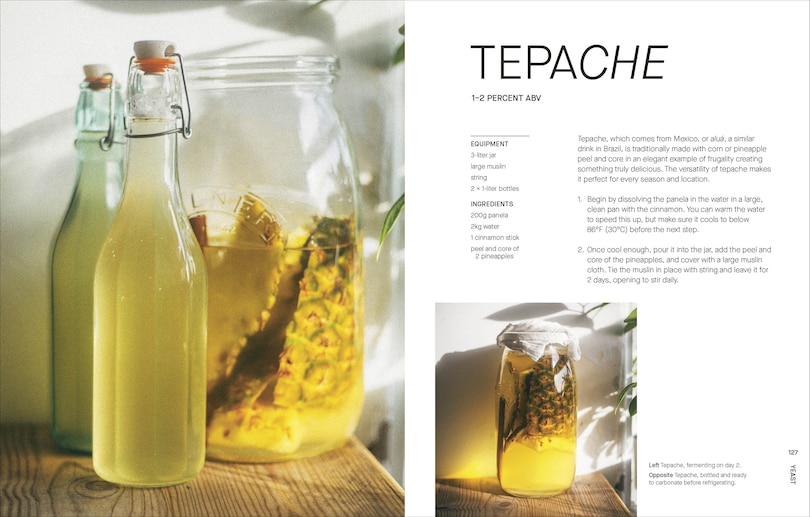 Sample content_The Fermentation Kitchen