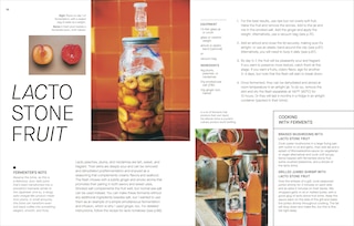 Sample content 2_The Fermentation Kitchen