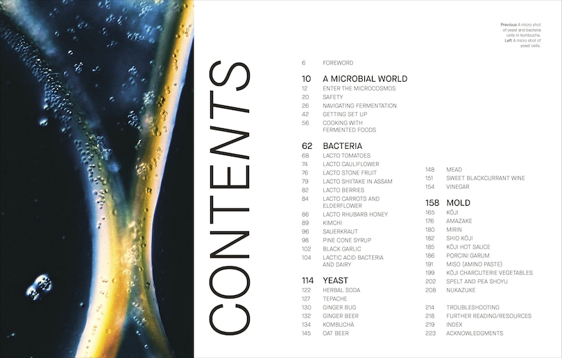 Sample content 5_The Fermentation Kitchen