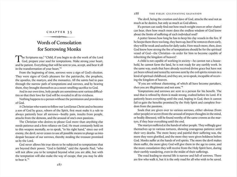 Sample content 5_The Field