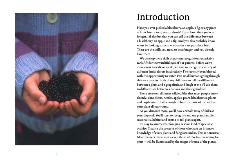 Sample content_The First-Time Forager