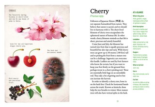 Sample content 2_The First-Time Forager