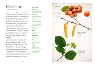 Sample content 3_The First-Time Forager