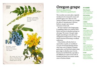 Sample content 5_The First-Time Forager