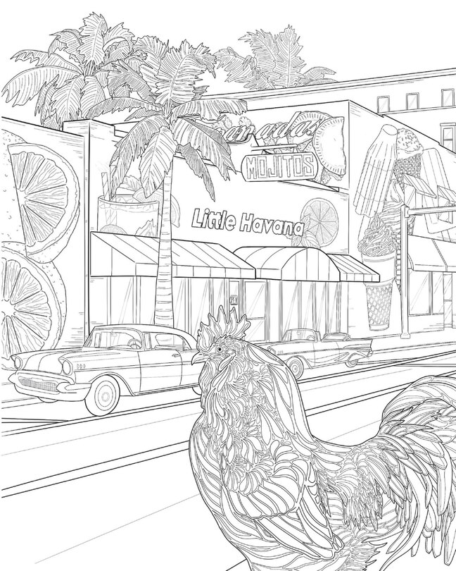 Aper&ccedil;u du contenu_The Florida State Coloring Book