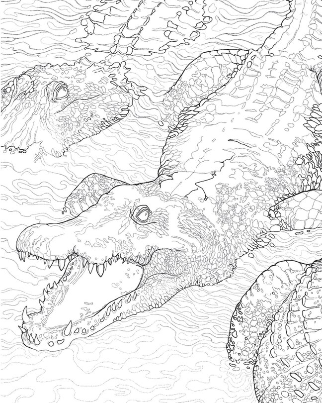 Aper&ccedil;u du contenu 2_The Florida State Coloring Book