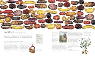 Sample content 3_The Food Book