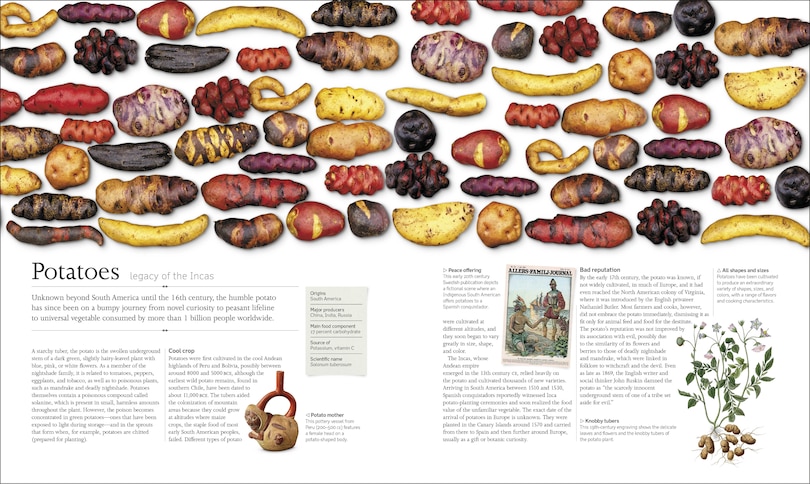 Sample content 3_The Food Book