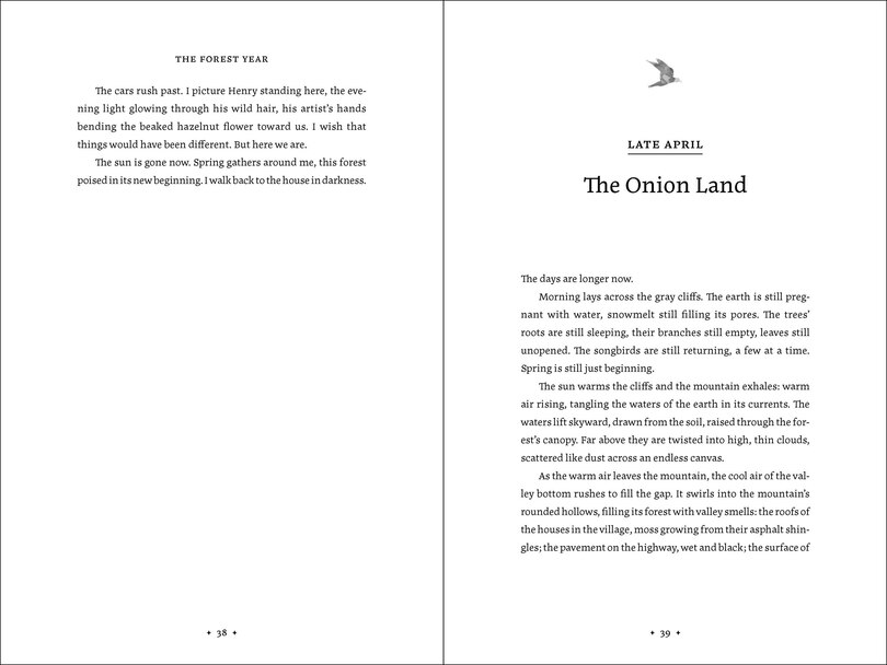 Aper&ccedil;u du contenu_The Forest Year