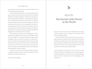 Aper&ccedil;u du contenu 2_The Forest Year