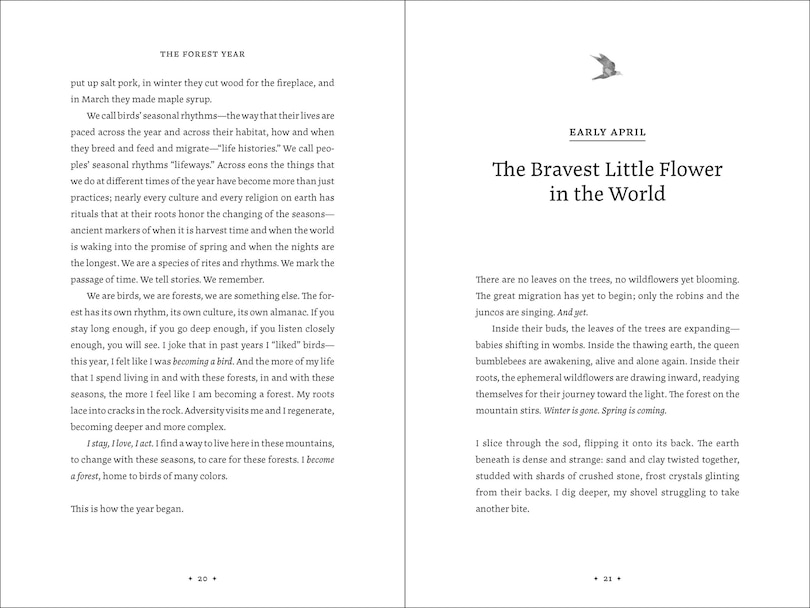 Aper&ccedil;u du contenu 2_The Forest Year