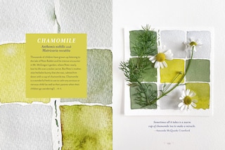 Sample content_The Generosity of Plants