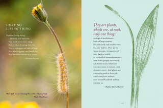 Sample content 2_The Generosity of Plants