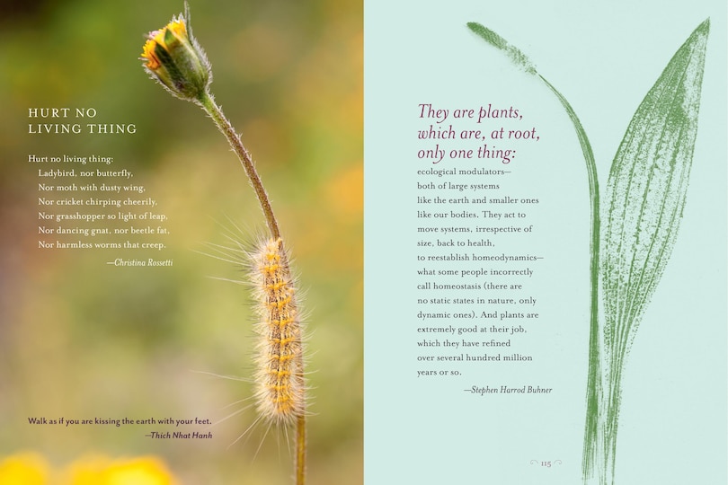 Sample content 2_The Generosity of Plants