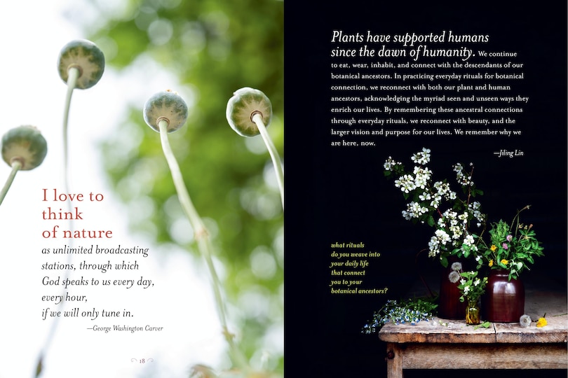 Sample content 4_The Generosity of Plants