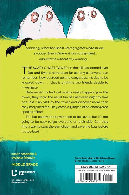 Back cover_The Ghost Tower