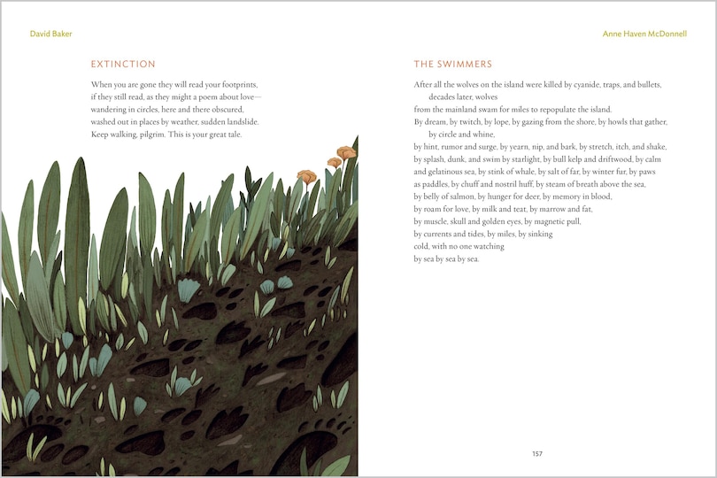 Sample content_The Gift of Animals