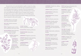 Aperçu du contenu 5_The Good Witch's Perpetual Planner