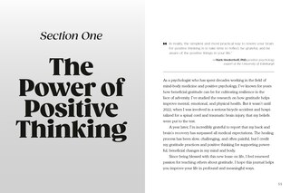 Aper&ccedil;u du contenu 4_The Gratitude Effect Positivity Journal