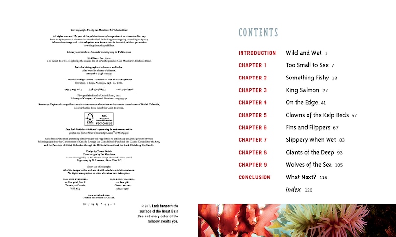 Table of contents_The Great Bear Sea