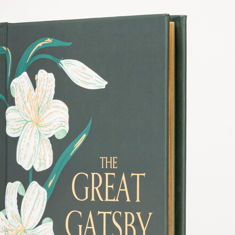 Sample content 2_The Great Gatsby (Special Edition)