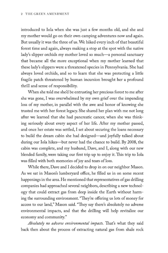 Aper&ccedil;u du contenu 4_The Green Amendment