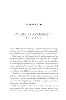 Aper&ccedil;u du contenu 5_The Green Amendment