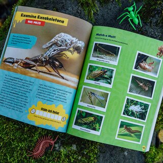 Sample content 2_The Grossest Bug Activity Book EVER!
