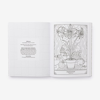 Sample content_The Happy Houseplant Coloring Book