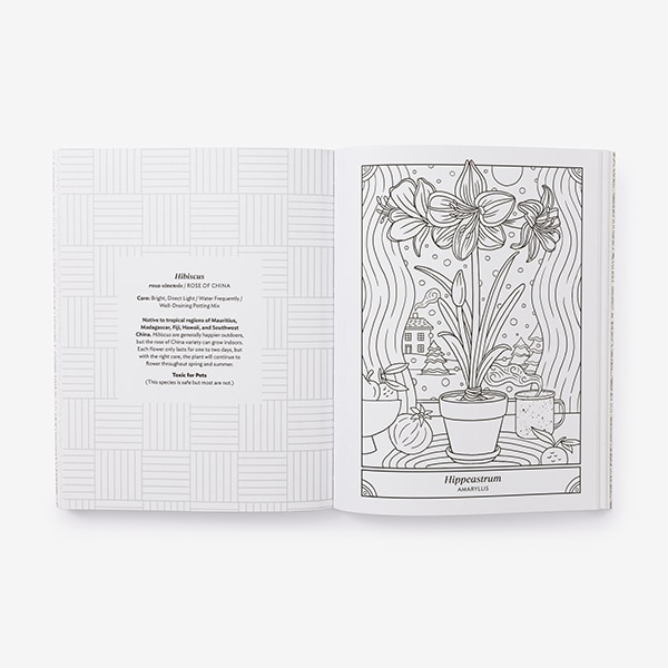 Sample content_The Happy Houseplant Coloring Book