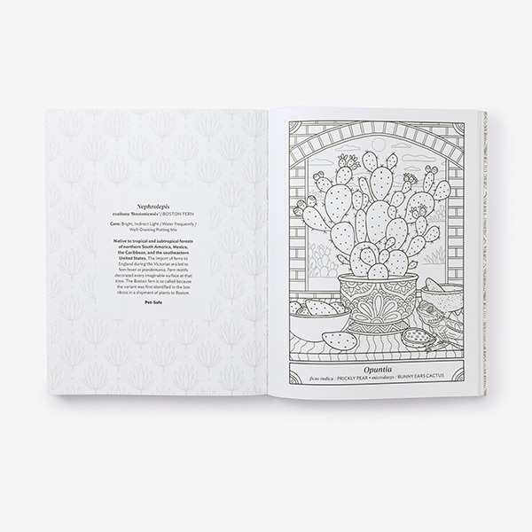 Sample content 4_The Happy Houseplant Coloring Book