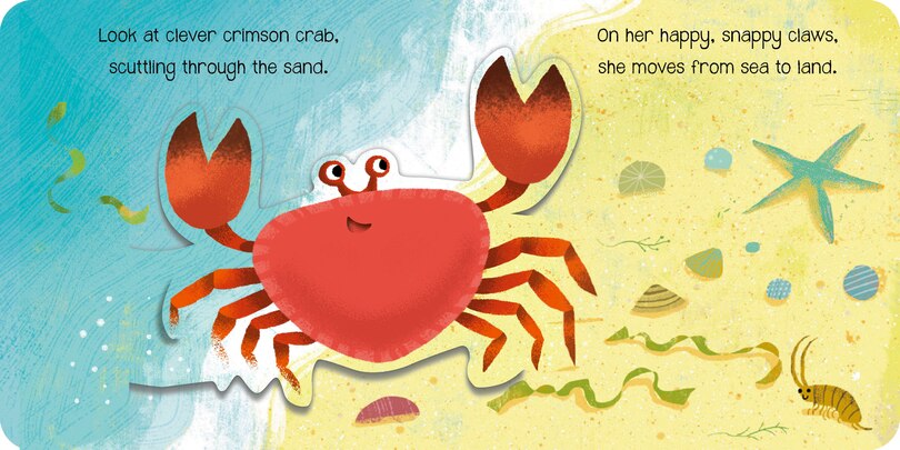 Sample content 2_The Happy Snappy Crab