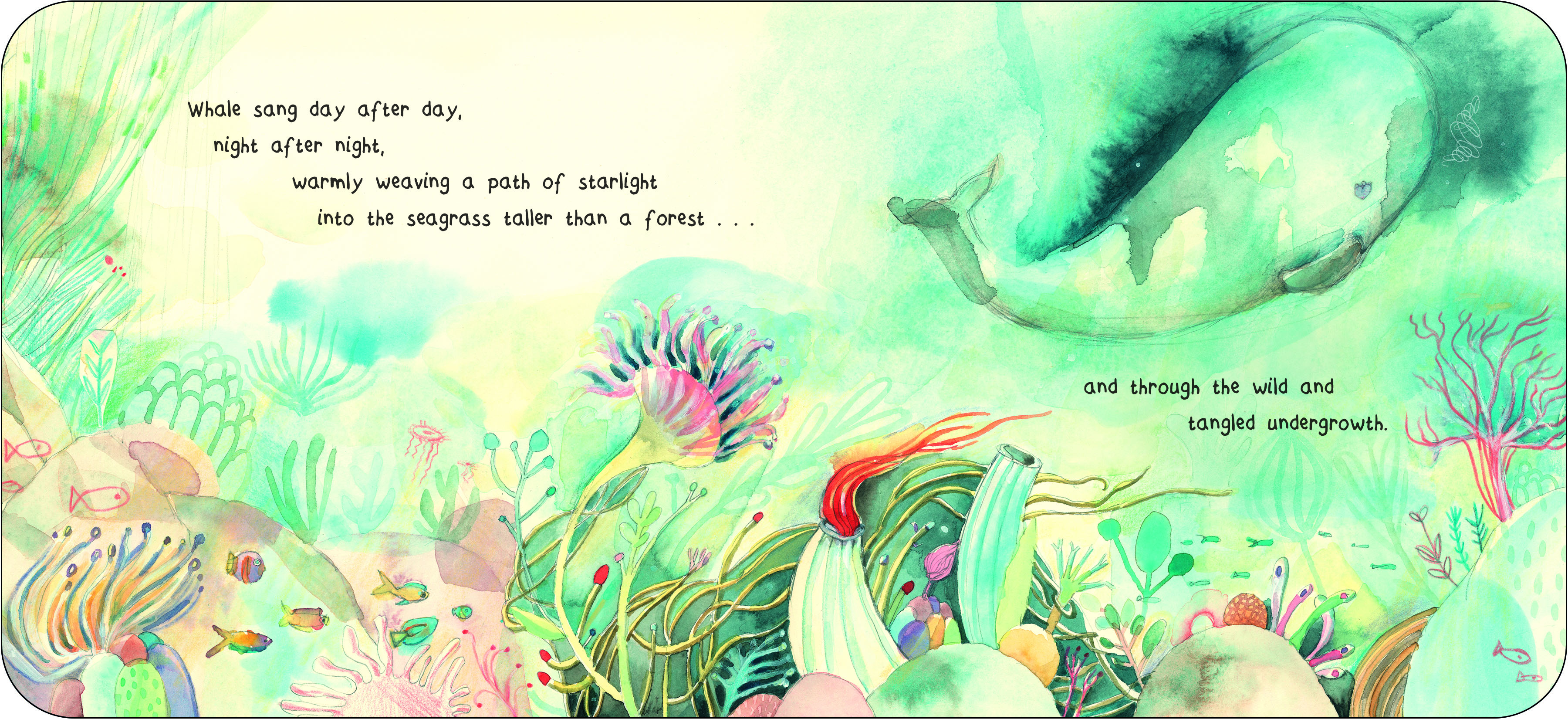 Sample content 4_The Heart of a Whale