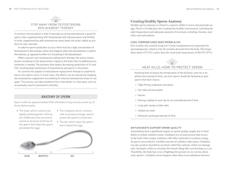 Sample content 4_The Herbal Fertility Handbook